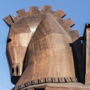 Managed Service Providers as Trojan Horses